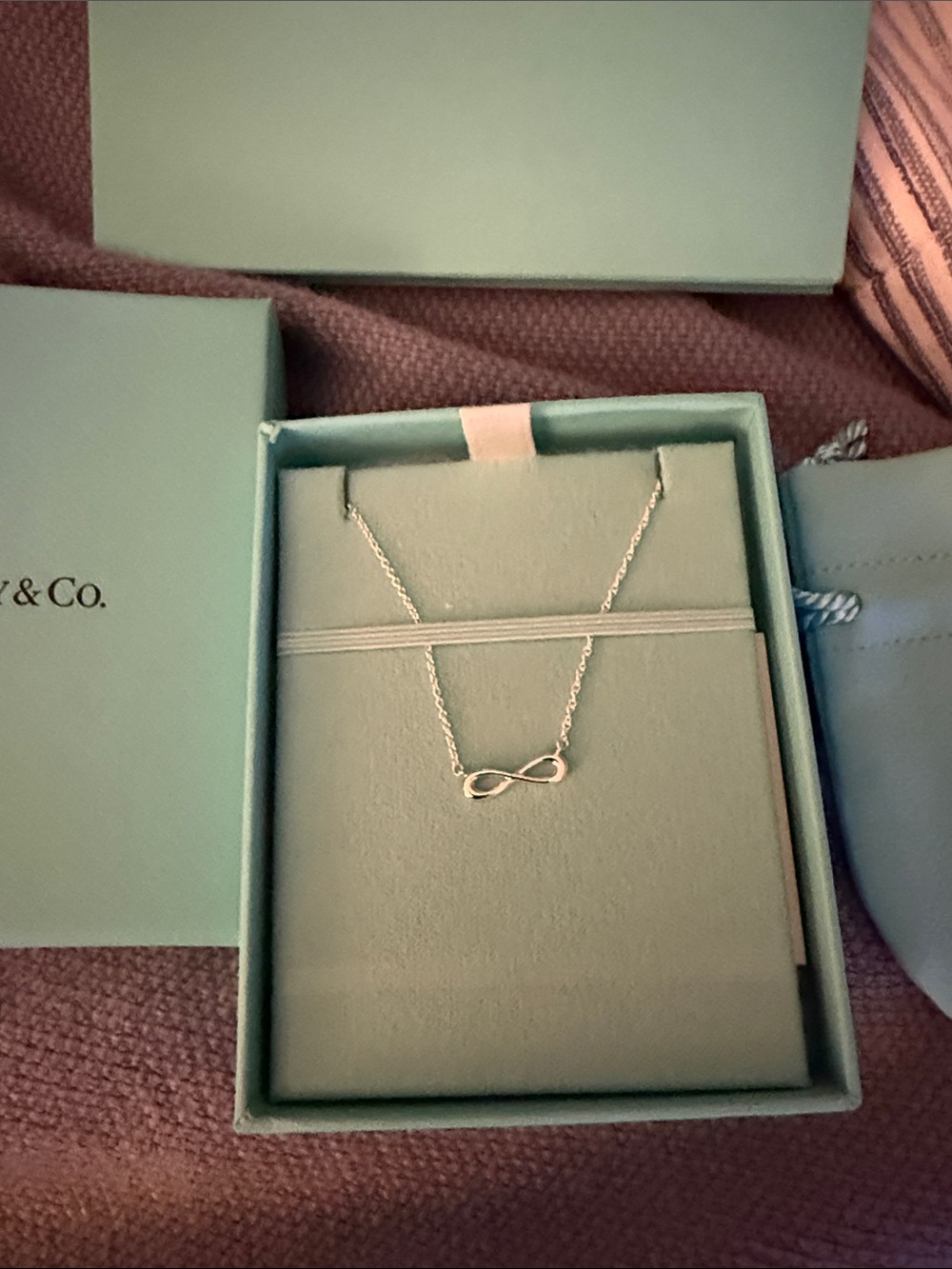 New in box Tiffany & Co. Silver Infinity Pendant Necklace - Silver